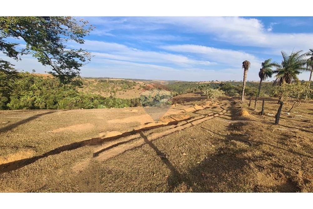 Chácara / Sítio / Fazenda - Venda - Uberaba , Minas Gerais - 32 Fazenda Venda R$ 6.500.000 em Uberaba na Remax 870291025-115.jpeg - 870291025-115