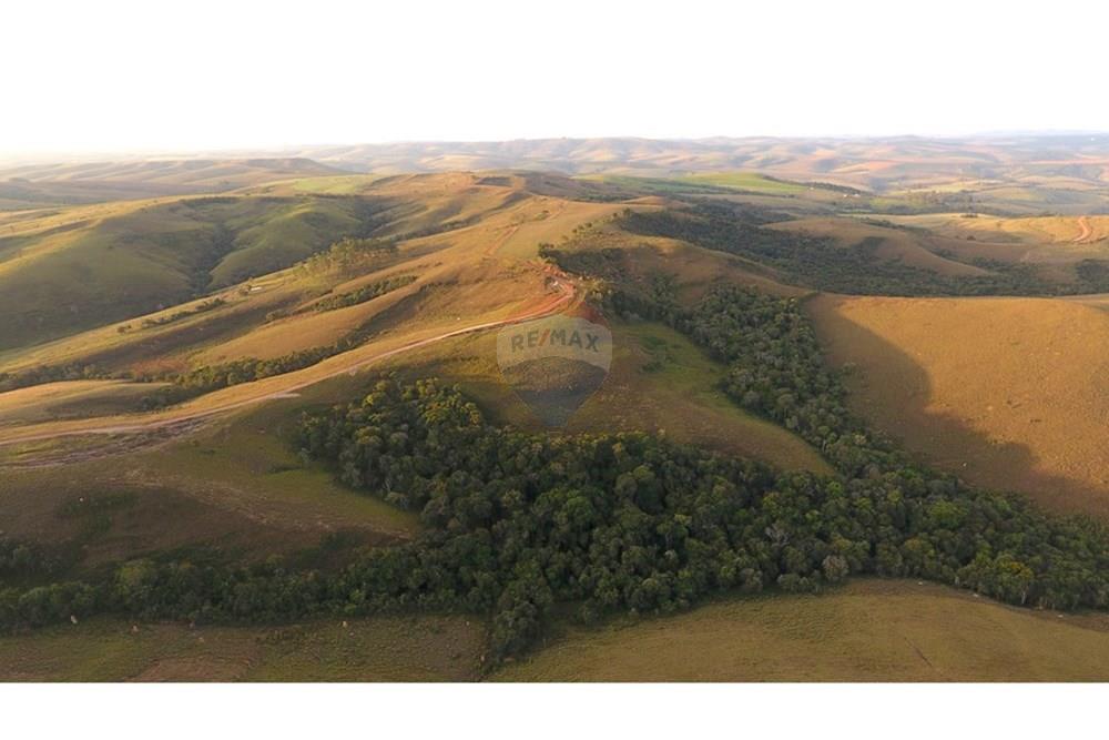 Fazenda - Venda - São Roque de Minas , Minas Gerais - DJI_0047.JPG - 870431039-50