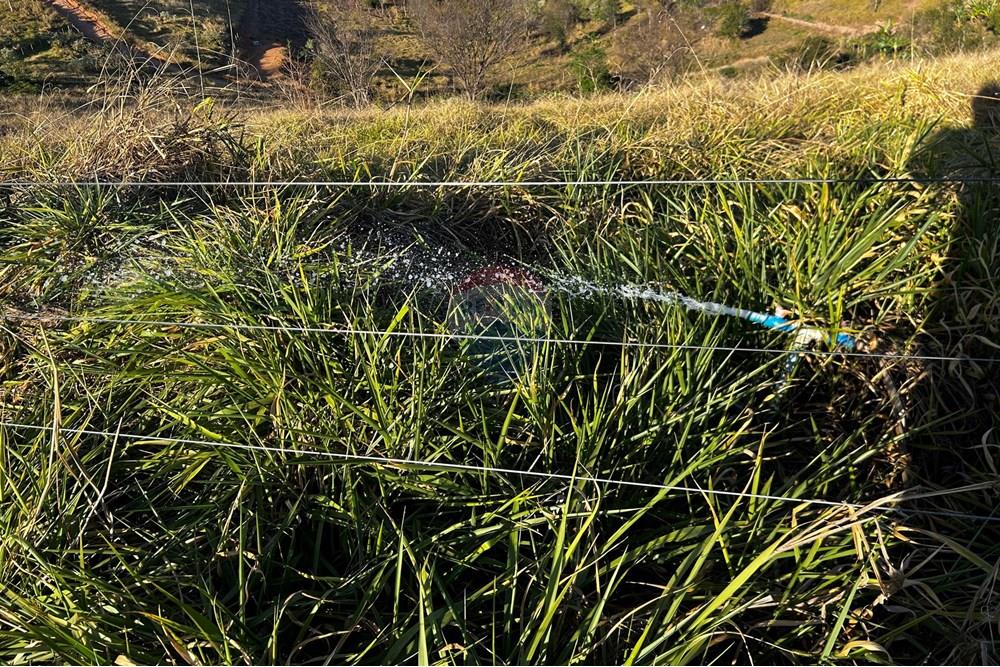 Chácara / Sítio / Fazenda - Venda - Governador Valadares , Minas Gerais - IMG_3031.jpg - 870671001-156