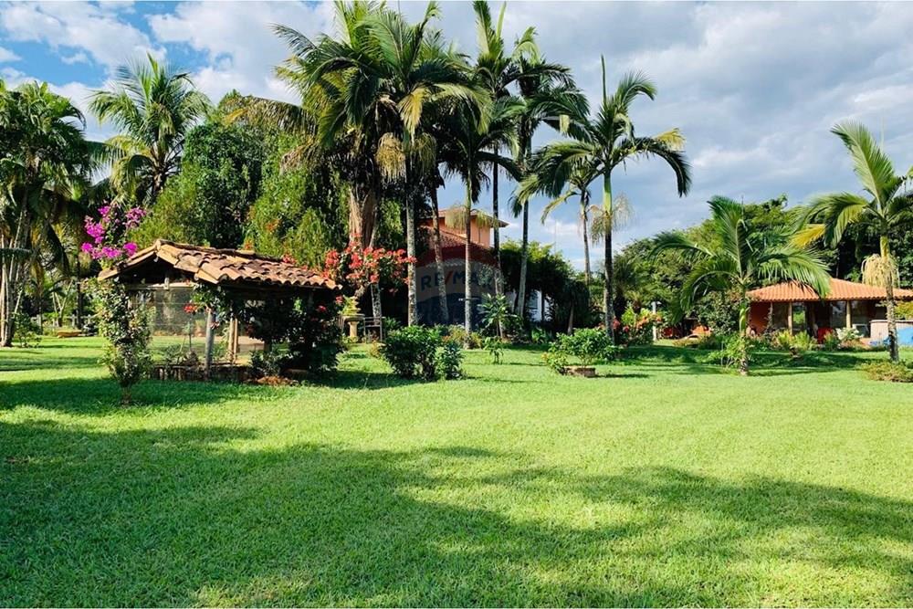 Chácara / Sítio / Fazenda - Venda - Delfinópolis , Minas Gerais - IMG-20250624-WA0002.jpg - 870721005-35