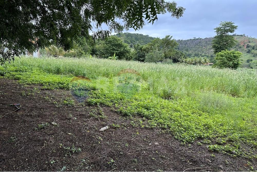 Chácara / Sítio / Fazenda - Venda - Ipanema , Minas Gerais - 0_image_0_watermark_ter._23122025_141225.jpg - 870451001-159