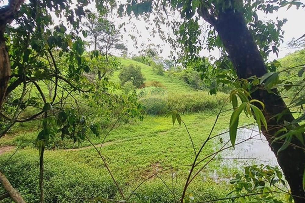 Fazenda - Venda - Pedro Leopoldo , Minas Gerais - WhatsApp Image 2025-12-11 at 16.48.51.jpeg - 870411117-34