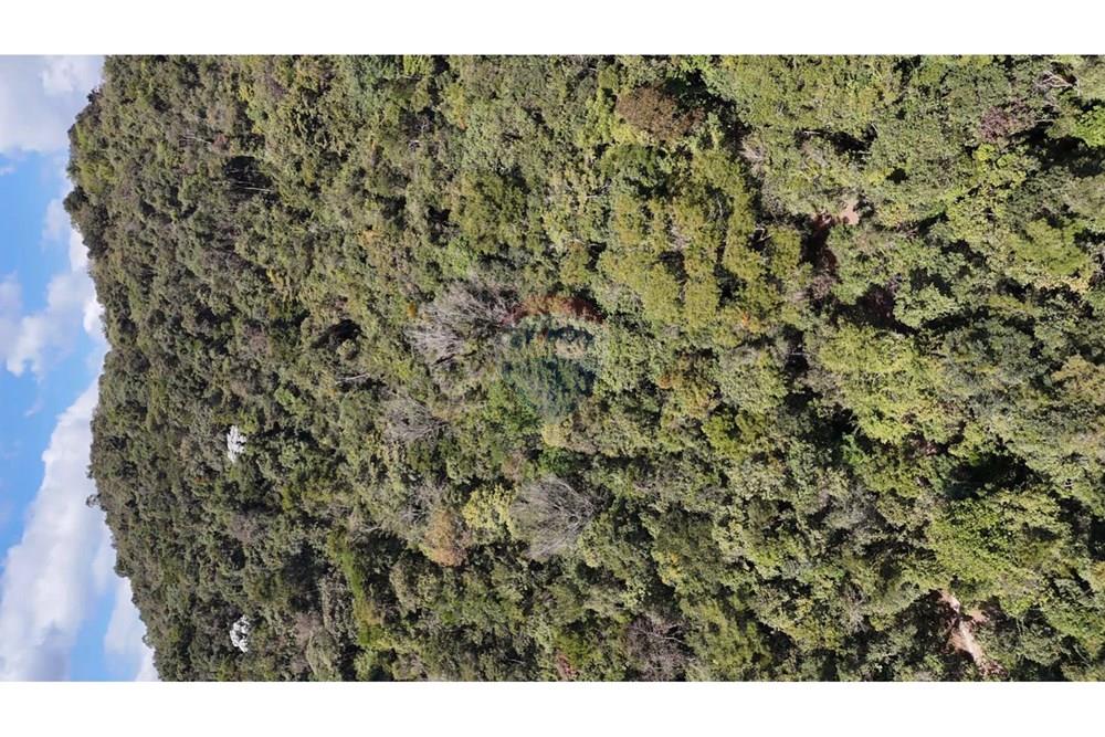 Terreno - Venda - Nova Lima , Minas Gerais - WhatsApp Image 2025-07-24 at 16.06.26.jpeg - 870351032-18