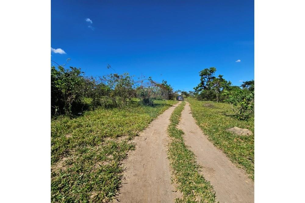 Terreno - Venda - Contagem , Minas Gerais - 20260112_152219.jpg - 870241034-67