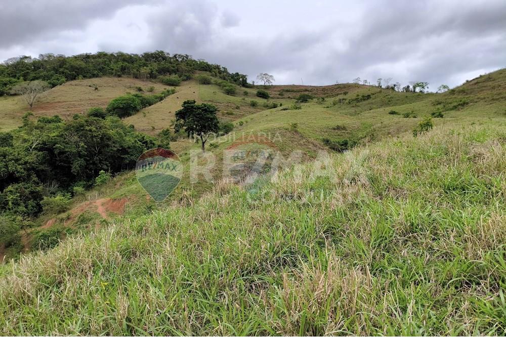 Chácara / Sítio / Fazenda - Venda - Ipanema , Minas Gerais - 6_image_6_watermark_qui._20112025_124247.jpg - 870451013-80