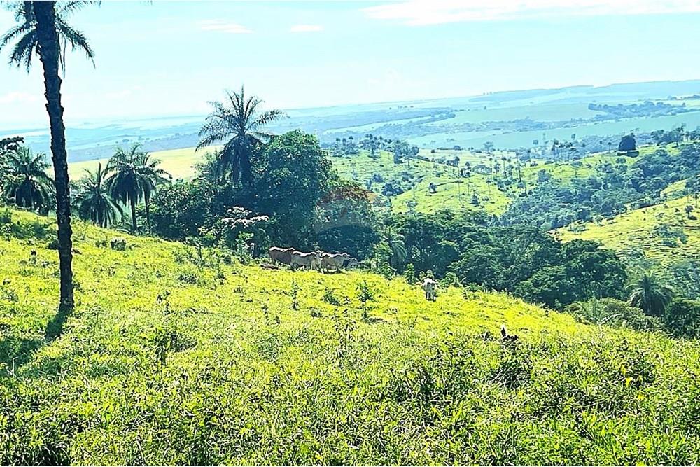 Chácara / Sítio / Fazenda - Venda - Araxá , Minas Gerais - 25.jpg - 870431045-37