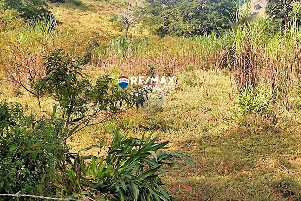 Chácara / Sítio / Fazenda - Venda - Ipanema , Minas Gerais - 3_IMG_20240515_091147_watermark_dom._23062024_100801.jpg - 870451001-121