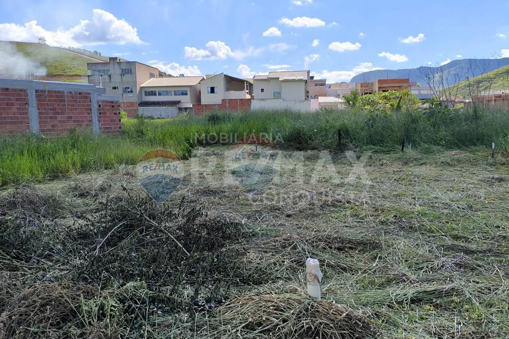 Terreno - Venda - Ipanema , Minas Gerais - 5_image_5_watermark_seg._09032026_104927.jpg - 870451001-167