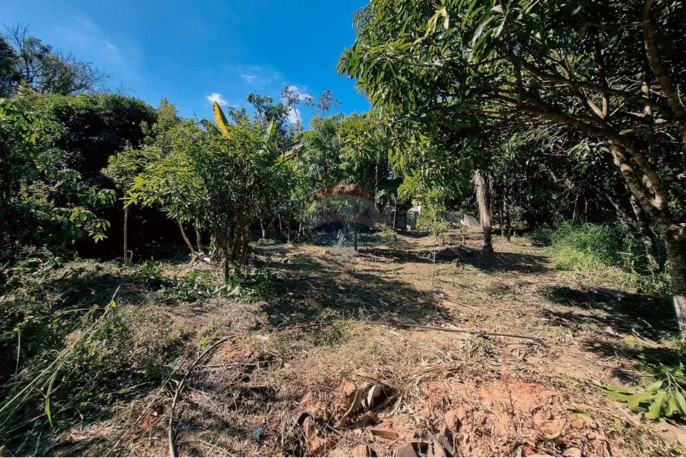 Chácara / Sítio / Fazenda - Venda - São Sebastião do Paraíso , Minas Gerais - 11.jpeg - 870601029-108