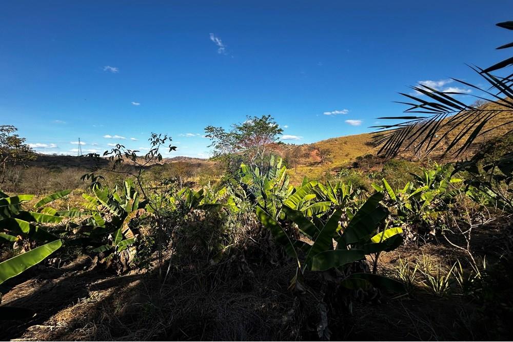 Chácara / Sítio / Fazenda - Venda - Governador Valadares , Minas Gerais - IMG_3013.jpg - 870671001-156