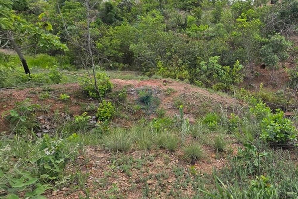 Terreno - Venda - Felixlândia , Minas Gerais - e4cac7f3-1037-4b62-996a-175832350088.jpeg - 870411117-36