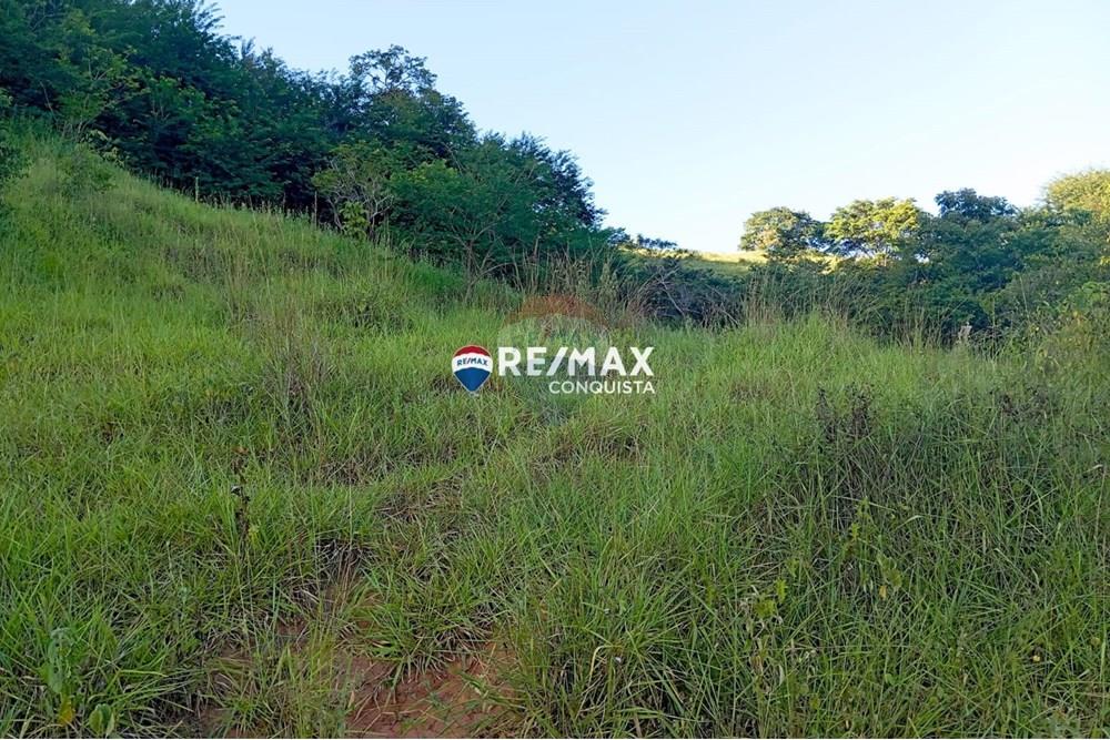 Chácara / Sítio / Fazenda - Venda - Pocrane , Minas Gerais - WhatsApp Image 2025-04-08 at 09.40.33(2).jpeg - 870451001-124