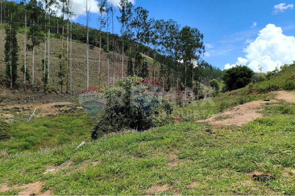 Chácara / Sítio / Fazenda - Venda - Taparuba , Minas Gerais - 4_image_4_watermark_sex._19122025_102343.jpg - 870451001-158