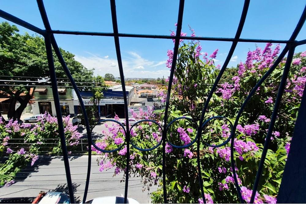 Apartamento - Venda - Belo Horizonte , Minas Gerais - Imagem do WhatsApp de 2025-11-14 à(s) 16.47.58_0c12e417.jpg - 870411011-115