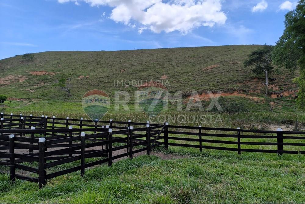 Chácara / Sítio / Fazenda - Venda - Taparuba , Minas Gerais - 9_image_9_watermark_sex._19122025_102007.jpg - 870451001-158