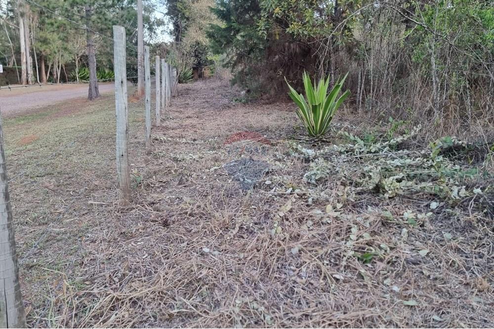 Terreno - Venda - Nova Lima , Minas Gerais - Foto 3.jpg - 870421084-16