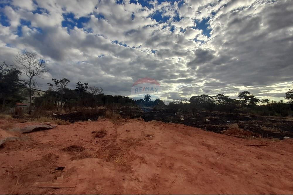 Terreno - Venda - Belo Horizonte , Minas Gerais - 20250620_155614.jpg - 870411011-95