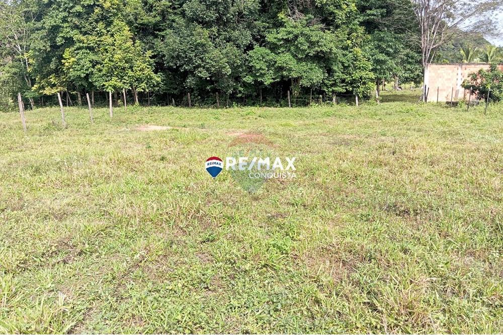 Chácara / Sítio / Fazenda - Venda - Ipanema , Minas Gerais - 3_image_3_watermark_ter._25032025_161928.jpg - 870451001-120