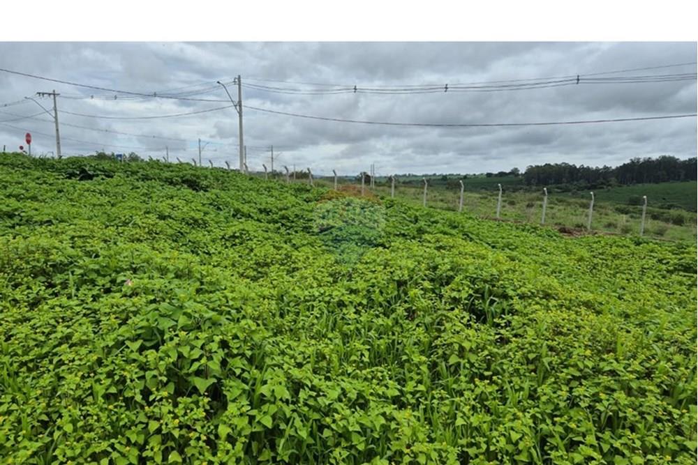 Terreno - Venda - Araxá , Minas Gerais - RODRIGO 9.jpeg - 870431054-10