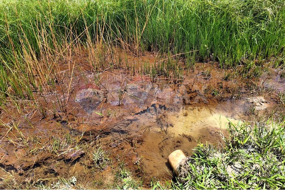 Chácara / Sítio / Fazenda - Venda - Taparuba , Minas Gerais - 1_image_1_watermark_sex._19122025_102342.jpg - 870451001-158