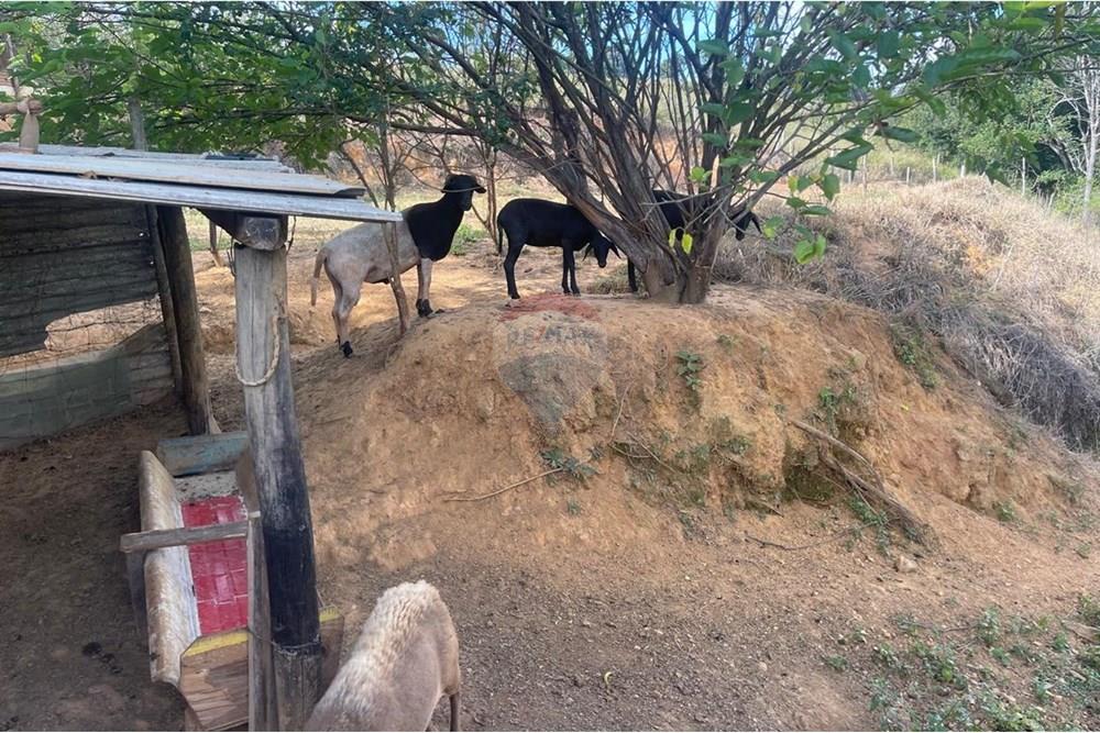 Rezidential - Ferma - Araxá , Minas Gerais - BR - 12.jpg - 870431045-46