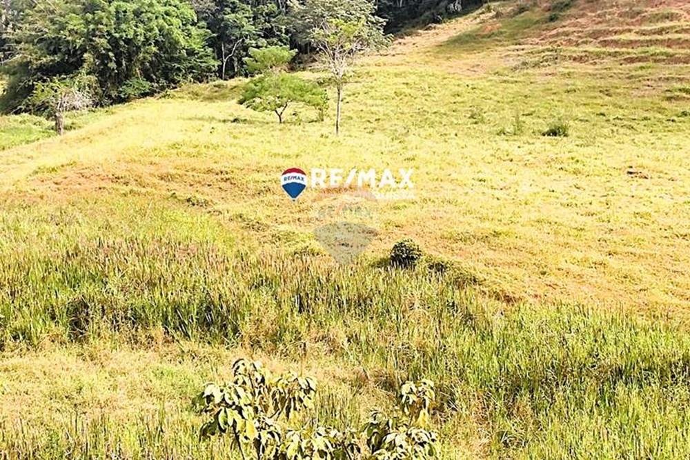 Chácara / Sítio / Fazenda - Venda - Ipanema , Minas Gerais - 5_IMG_20240515_093349_watermark_dom._23062024_100622.jpg - 870451001-122