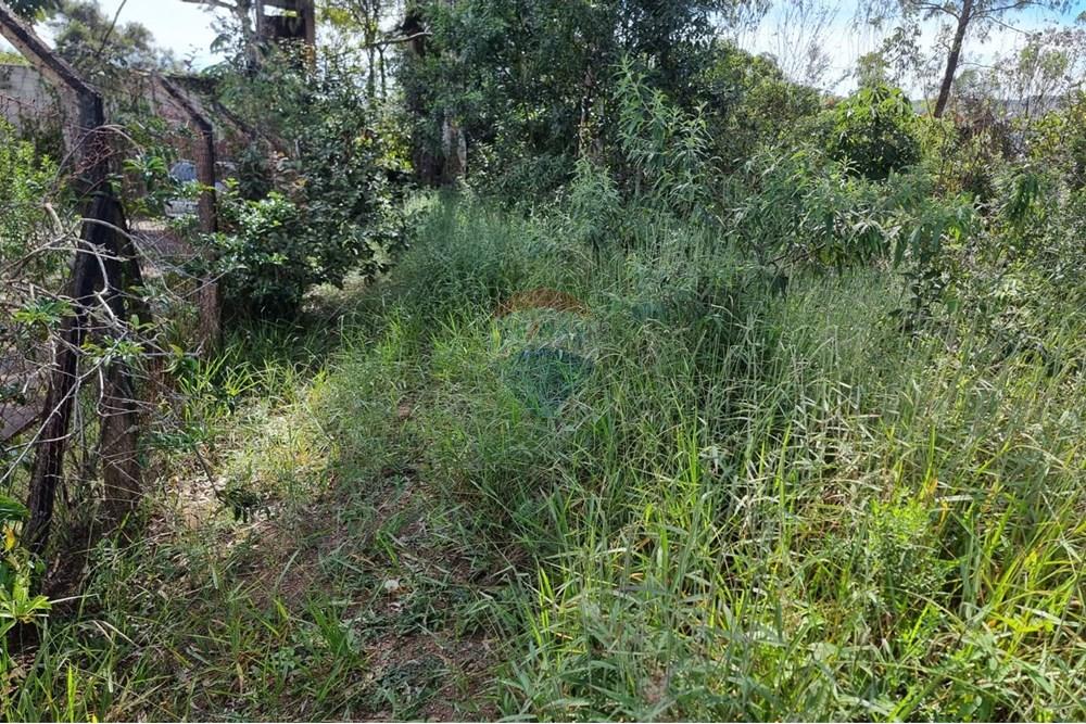 Terreno - Venda - Nova Lima , Minas Gerais - 25.jpeg - 870421084-16