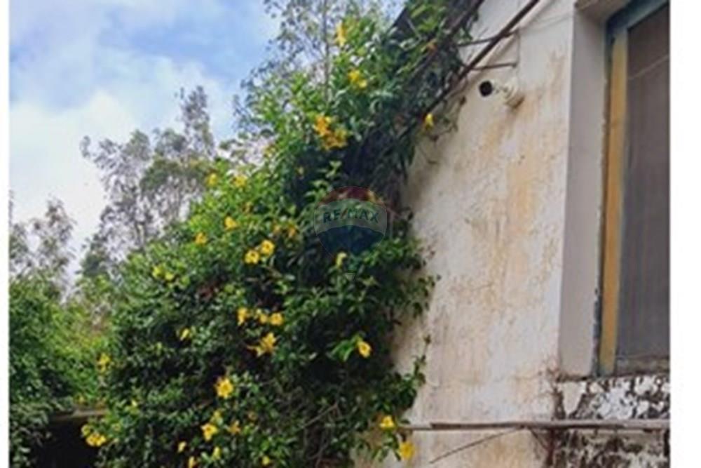 Fazenda - Venda - Pedro Leopoldo , Minas Gerais - WhatsApp Image 2025-12-11 at 15.18.39 (2).jpeg - 870411117-34