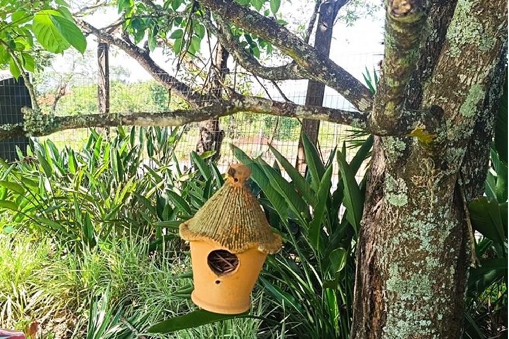 Terreno - Venda - Brumadinho , Minas Gerais - WhatsApp Image 2025-11-20 at 10.07.24 (1).jpeg - 870421014-361