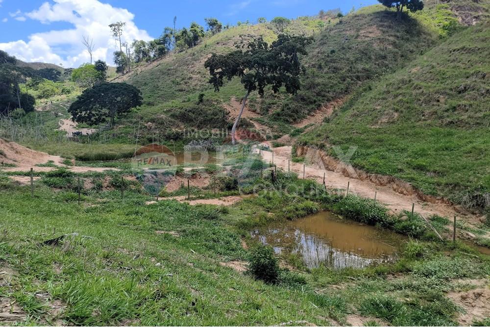 Chácara / Sítio / Fazenda - Venda - Taparuba , Minas Gerais - 7_image_7_watermark_sex._19122025_102132.jpg - 870451001-158
