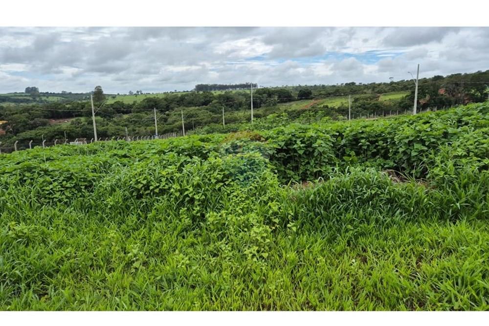 Terreno - Venda - Araxá , Minas Gerais - RODRIGO 13.jpeg - 870431054-10