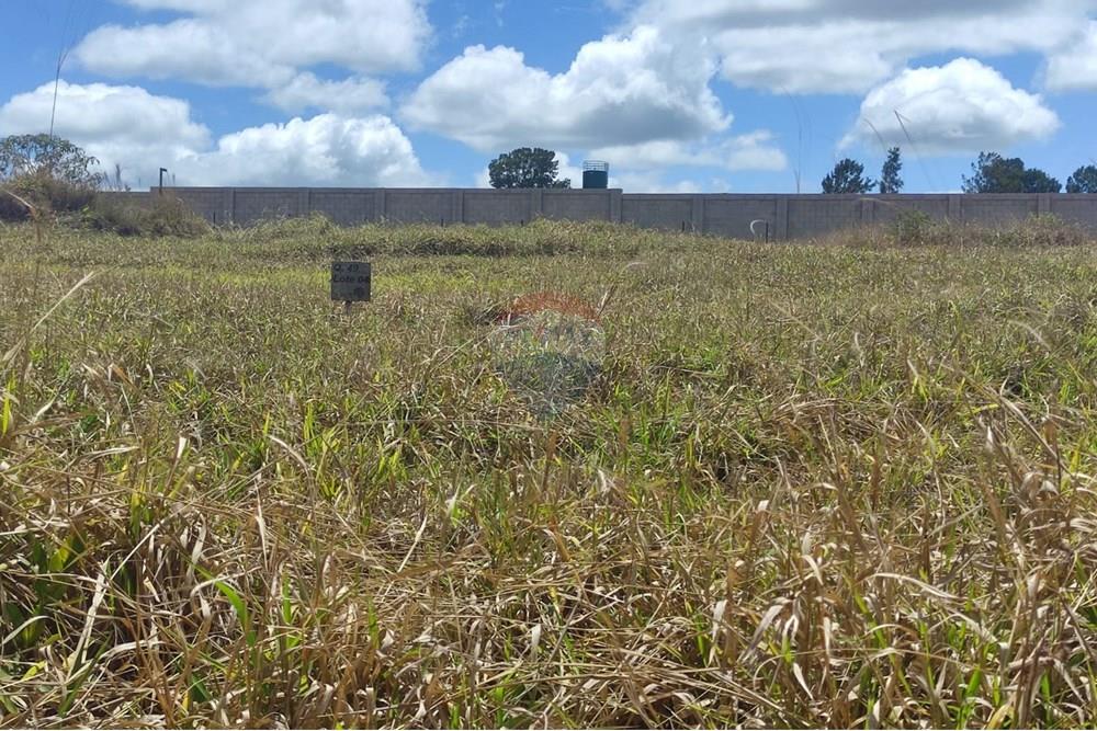 Terreno - Venda - Nova Lima , Minas Gerais - 20fe1737-3e6f-4f52-9a0b-6fbe00572a6d.jpeg - 870421035-81