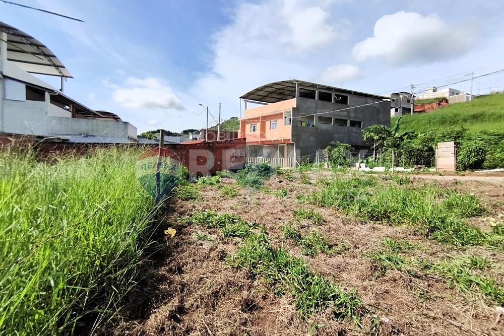 Terreno - Venda - Ipanema , Minas Gerais - 6_image_6_watermark_ter._17022026_130125.jpg - 870451004-118