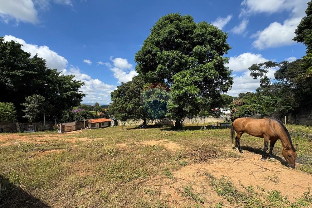 Terreno - Venda - Belo Horizonte , Minas Gerais - IMG_9685.JPG - 870411141-20