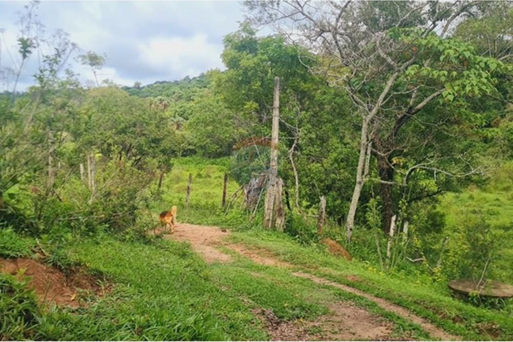 Fazenda - Venda - Pedro Leopoldo , Minas Gerais - WhatsApp Image 2025-12-11 at 15.20.32 (3).jpeg - 870411117-34