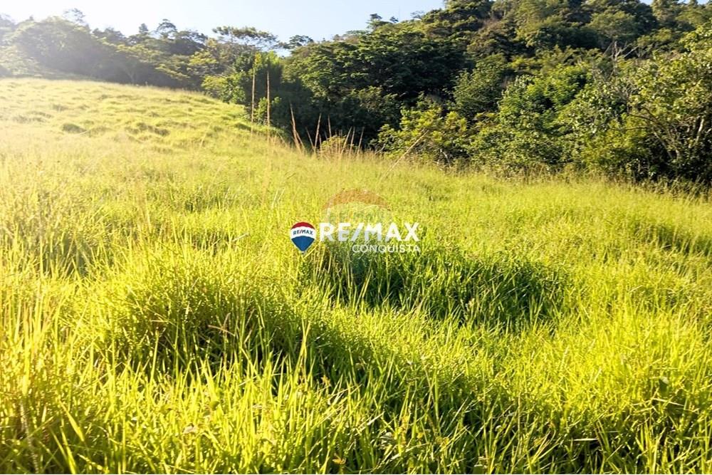 Chácara / Sítio / Fazenda - Venda - Pocrane , Minas Gerais - WhatsApp Image 2025-04-08 at 09.40.29(3).jpeg - 870451001-124