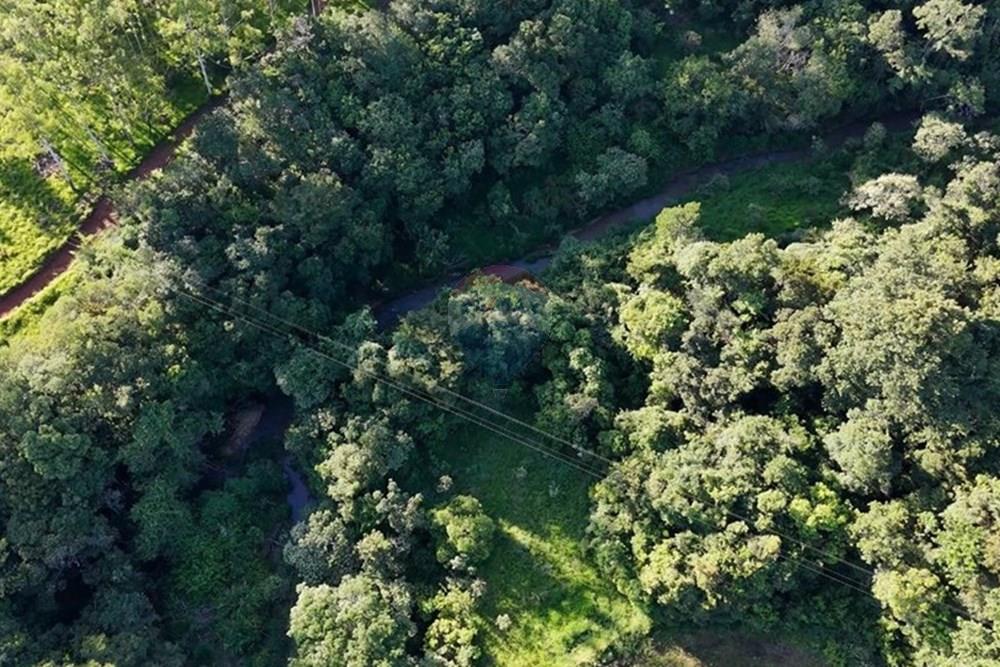 Fazenda - Venda - Araxá , Minas Gerais - WhatsApp Image 2026-02-06 at 10.49.43.jpeg - 870431012-60