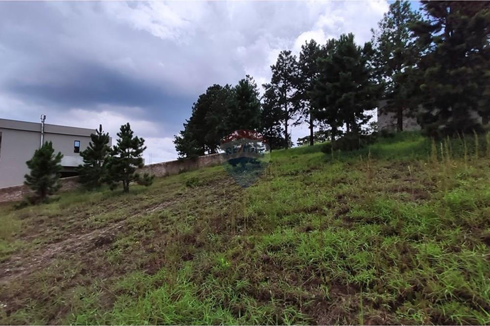 Terreno - Venda - Nova Lima , Minas Gerais - IMG_20250128_115033.jpg - 870421014-287