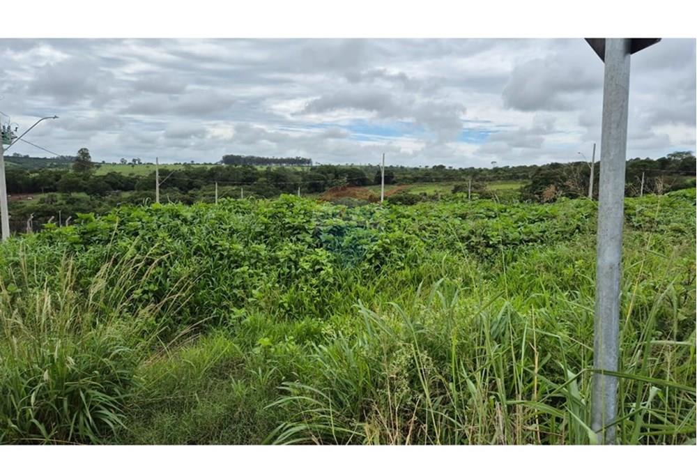 Terreno - Venda - Araxá , Minas Gerais - RODRIGO 2.jpeg - 870431054-10