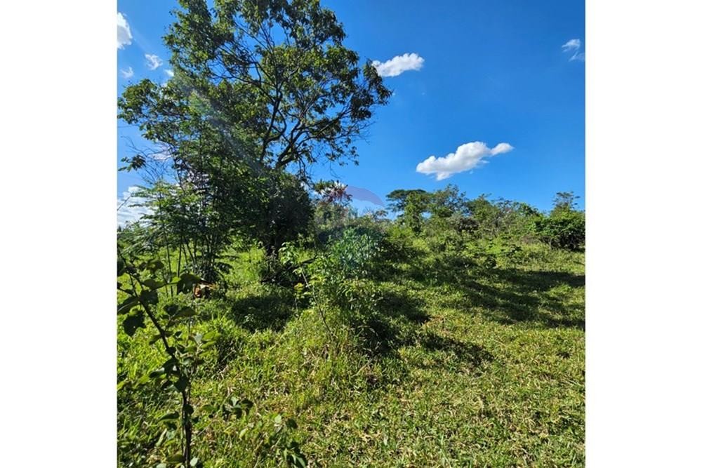 Terreno - Venda - Contagem , Minas Gerais - 20260112_152200.jpg - Quintal - 870241034-67