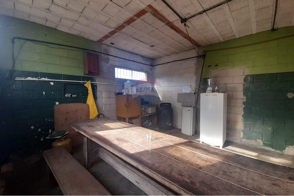 Galpão - Venda - Belo Horizonte , Minas Gerais - 20250520_150307.jpg - 870411011-98