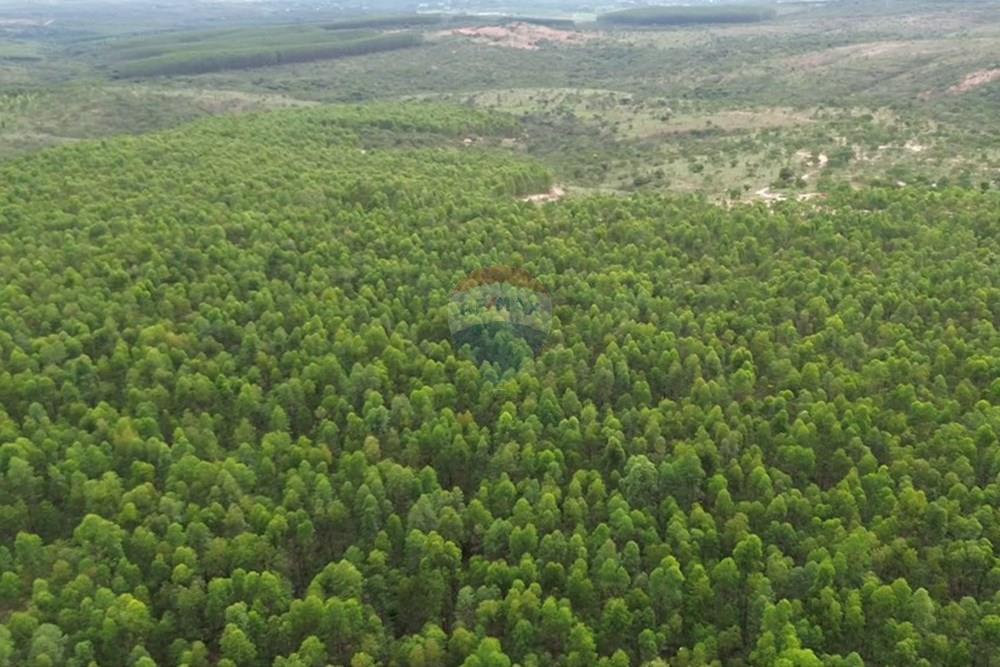 Fazenda - Venda - Inimutaba , Minas Gerais - Imagem instantânea 8.jpg - 870411101-21