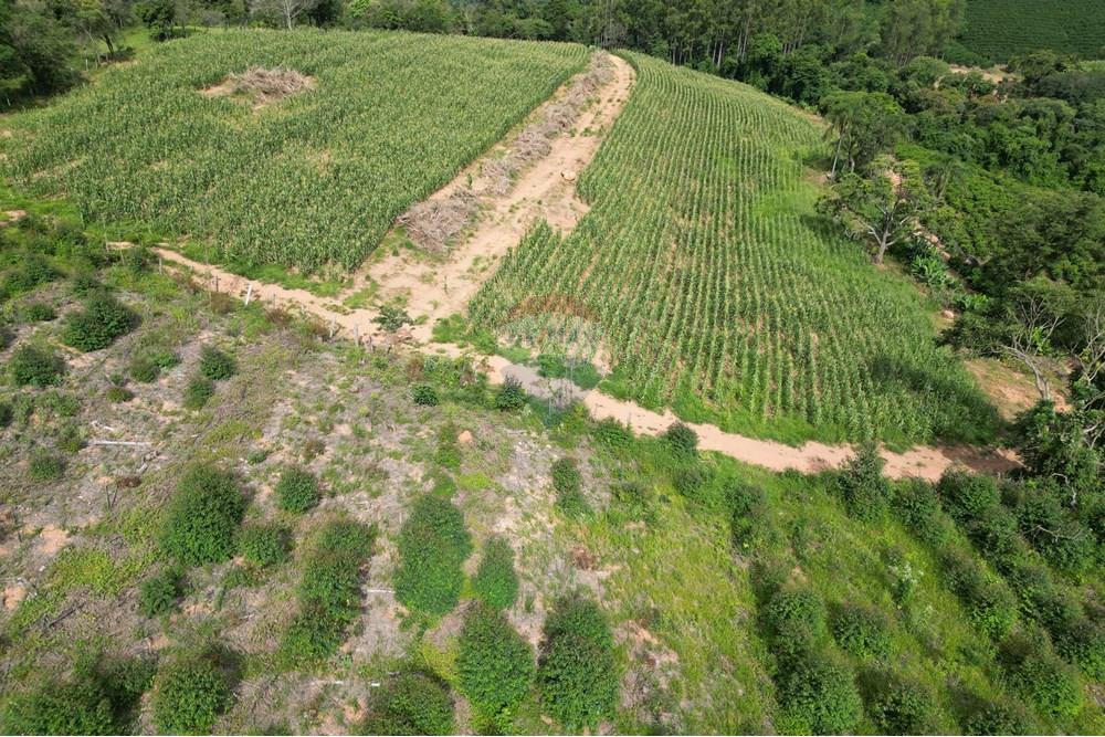 Fazenda - Venda - Caconde , São Paulo - DJI_0013.JPG - 870361041-102