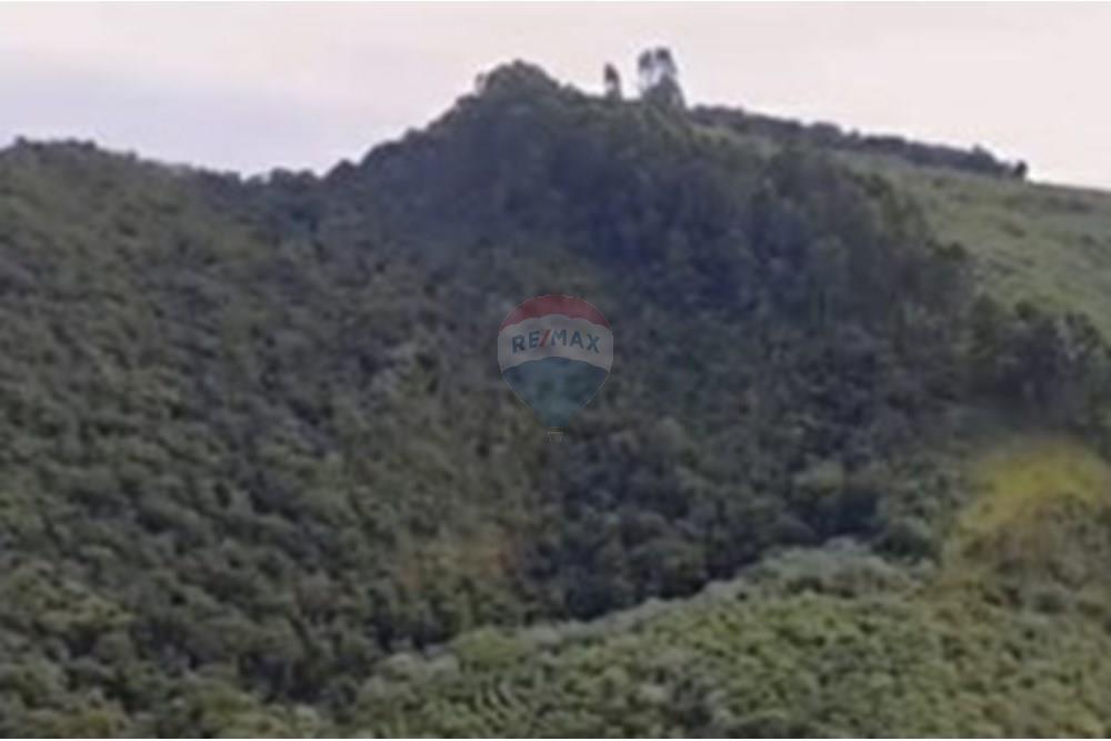 Chácara / Sítio / Fazenda - Venda - Casa Grande , Minas Gerais - 9d12fa7f-e90b-4dfe-b20b-2c5e597fce42.jpeg - 870411117-20