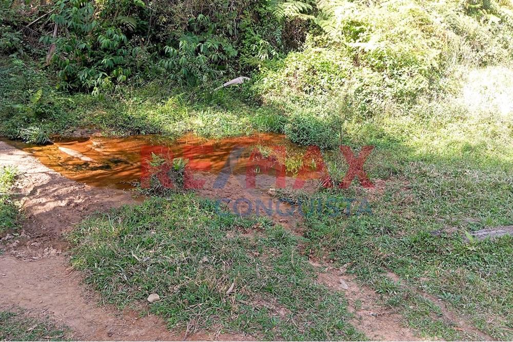 Chácara / Sítio / Fazenda - Venda - Ipanema , Minas Gerais - 0_image_0_watermark_seg._15092025_150518.jpg - 870451013-72