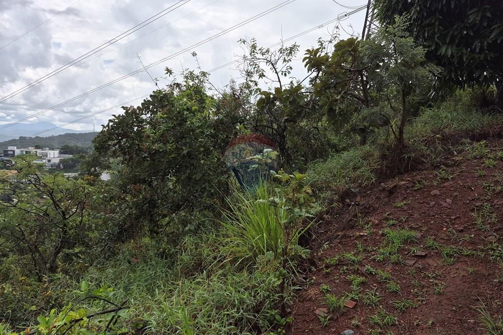 Terreno - Venda - Nova Lima , Minas Gerais - 20260318_105608.jpg - 870421084-35