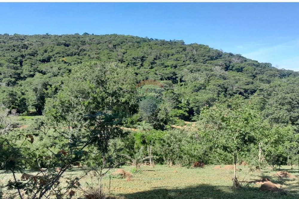 Terreno - Venda - Lagoa Santa , Minas Gerais - FOTO14 FAZENDA .jpg - Loft - 870421119-51