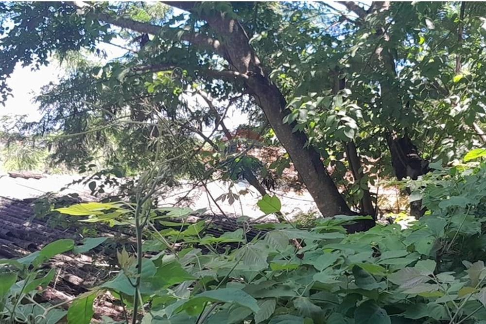 Terreno - Venda - Lagoa Santa , Minas Gerais - GLEBA FOTO3.jpg - 870421119-44