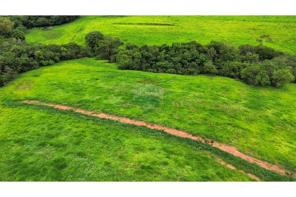 Chácara / Sítio / Fazenda - Venda - São Sebastião do Paraíso , Minas Gerais - SITIO ROMULO BICEGO (14).jpeg - 870811007-131