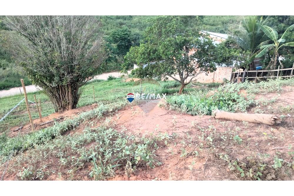 Terreno - Venda - Ipanema , Minas Gerais - 0_image_0_watermark_seg._05052025_142624.jpg - 870451004-98